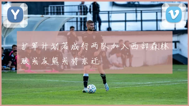 扩军计划若成行两队加入西部森林狼或灰熊或将东迁
